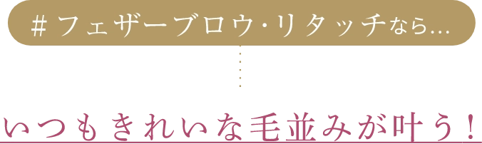 #フェザーブロウ･リタッチなら…いつもきれいな毛並みが叶う!