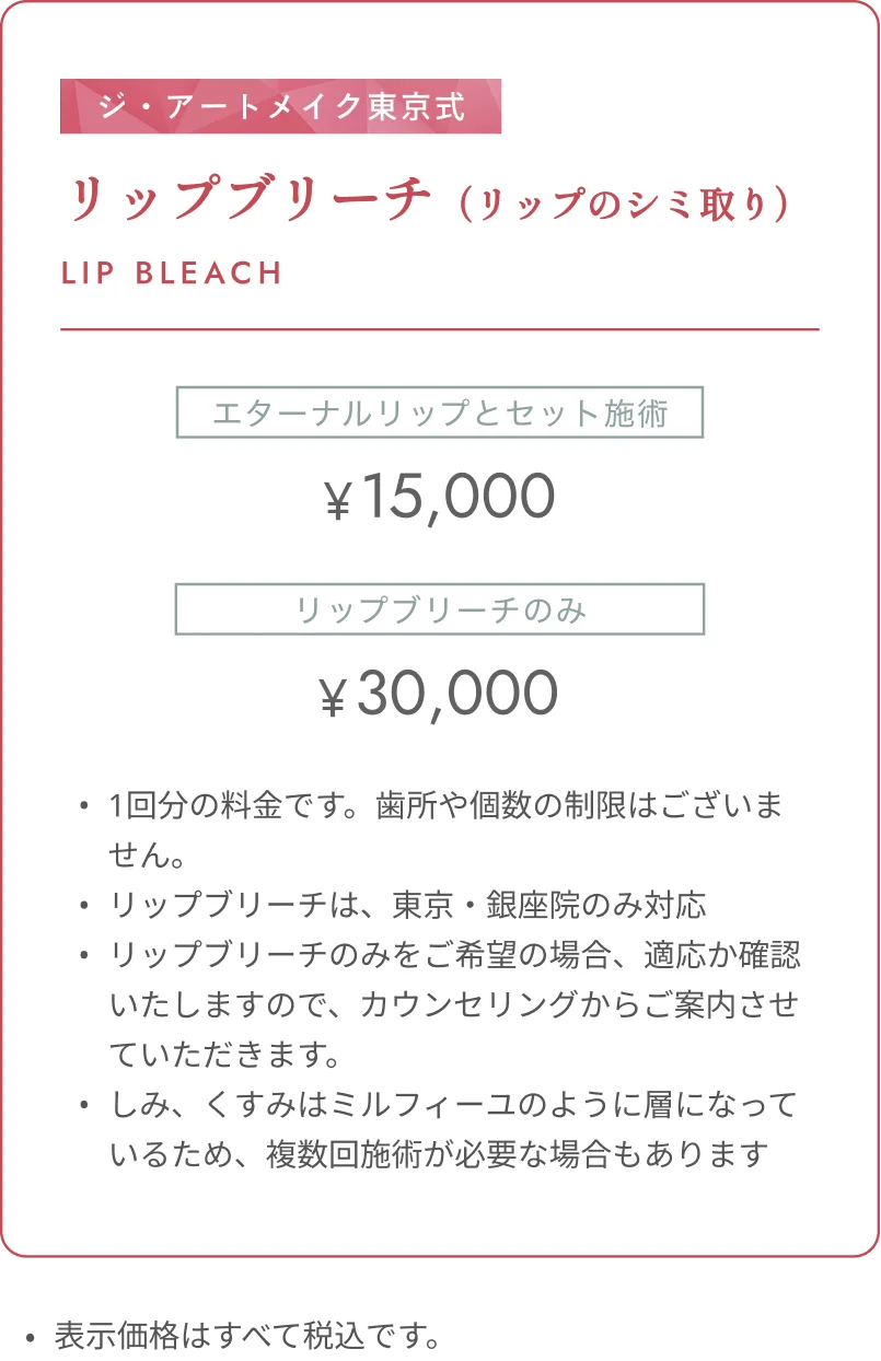 ジ・アートメイク東京式 リップブリーチ（リップのシミ取り）LIP BLEACH