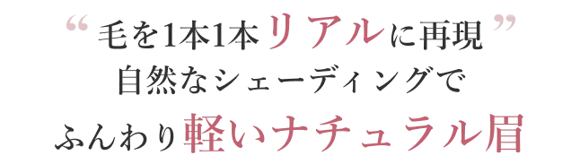 毛を1本1本リアルに再現自然なシェーディングでふんわり軽いナチュラル眉