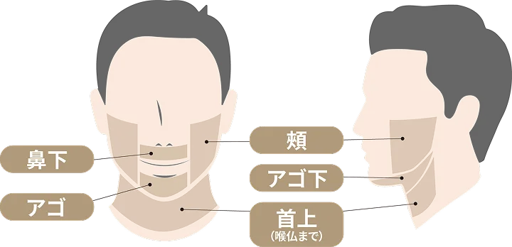 鼻下 アゴ 頬 アゴ下 首上(喉仏まで)